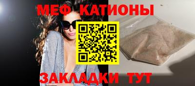 шишки Заводоуковск