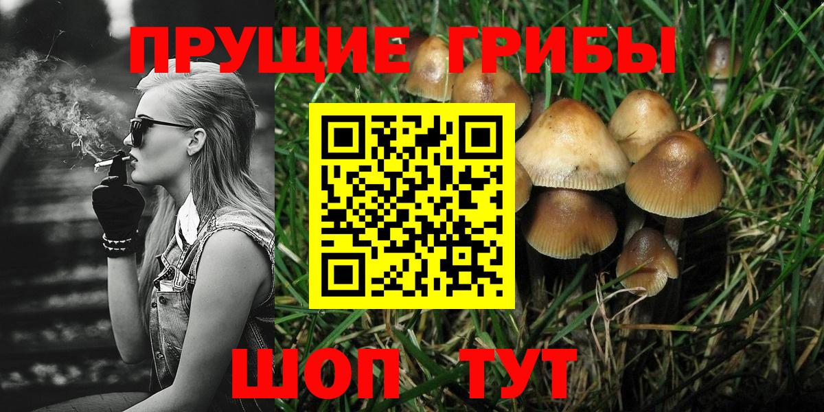 Новокуйбышевск  Галлюциногенные грибы GOLDEN TEACHER  Вход с VPN 